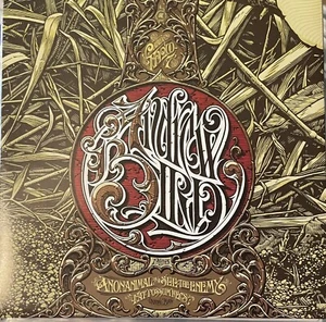 ANDREW BIRD Anananimal 7" NEW Bowl of Fire Pinetop Seven Squirrel Nut Zippers lp - Imagen 1 de 2