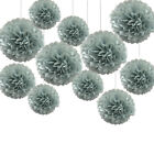 Time To Sparkle30/10pcs Tissue Paper Pompom Large Hanging Wedding Birthday Party