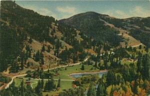 Red River Pass vom Buffalo Trail, Red River, New Mexico Vintage Postkarte - Bild 1 von 2