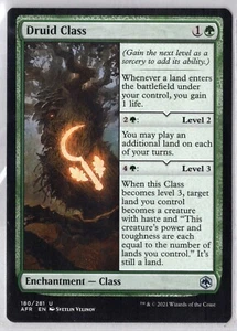 1x Druid Class - AFR - Near Mint - Bild 1 von 1