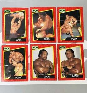 1991 WCW Impel Doom Tag Team 6 Karten Lot (A) - Bild 1 von 1