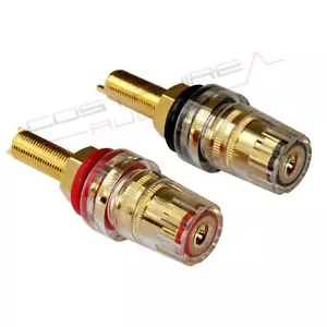 2x CONNETTORE A MORSETTO CABP28ir morsetti diffusori BINDING POST Audiophile - Imagen 1 de 1