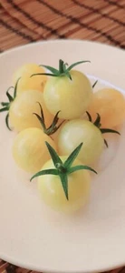 TOMATE CEREZA BLANCO white cherry 20 Semillas - Seeds huerto - Imagen 1 de 2