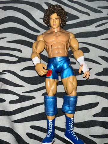 Carlito Colon WWE Jakks Pacific Deluxe Aggression Series 7 Loose Action Figure Cover