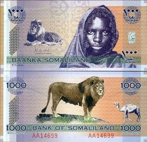 SOMALILAND 1000 SHILLINGS 2006 UNC - Imagen 1 de 1