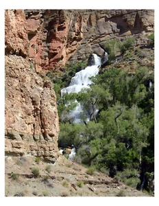 "Foto de Thunder River - Parque Nacional del Gran Cañón - Arizona 8x10 en 8,5"" x 11" - Imagen 1 de 1