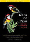 John P. O'Neill Thomas S. Schulenberg Theodore A. Park Birds of Peru (Paperback)