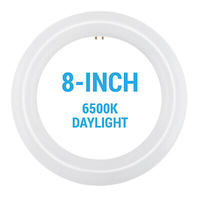8-Inch LED CFL Replacement Circline Circular ...