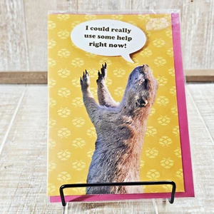 National Geographic Grußkarte Hilfe Meerkatze gelb rosa innen leer - Bild 1 von 8