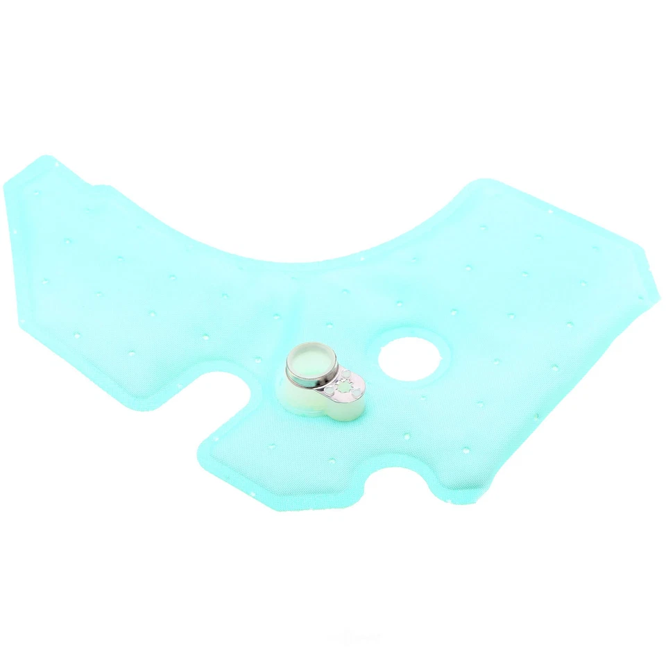 Fuel Pump Strainer Carter STS-306 STS306 - Image 1 of 1