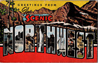 Greetings From the Scenic Northwest Large Letter Postard