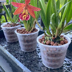 1-3 Pack Orchid Pots with Holes Clear Plastic Orchid Pots Small Medium Large XL - Picture 1 of 20
