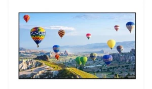 Panasonic TH-49SQ1WA 49" 8 ms (G to G) 3840 x 2160 (4K) Built In Speaker - Picture 1 of 2