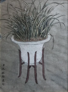 Shen Chen-lin — Ch'ing dynasty — aquarelle sur papier signée en bas à gauche - Picture 1 of 7
