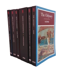 6 Paperback Classics DICKENS, BRONTE, HOMER, DEFOE, STEVENSON In Great Condition - Picture 1 of 6