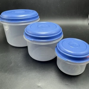 3 contenitori vintage Rubbermaid Servin Saver #6 #7 #8 coperchi blu 10 oz-3C-6C - Foto 1 di 12