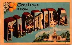 Grüße aus Florida Großbrief FLORIDA LEINEN POSTKARTE D15 - Bild 1 von 2