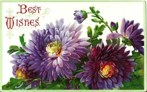 Postal de Best Wishes. Gran grupo de flores de aster en primer plano. En relieve. - Imagen 1 de 2