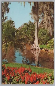 Americas Tropical Wonderland, Florida, Vintage Postkarte. - Bild 1 von 2