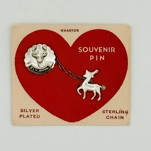Vintage Ely Minnesota Silver Plated and Sterling Deer Souvenir Pin Chain Wharton - Picture 1 of 4