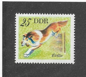 Sello postal retrato cuerpo perro arte collie rda recubierto áspero Alemania Oriental MNH - Imagen 1 de 1