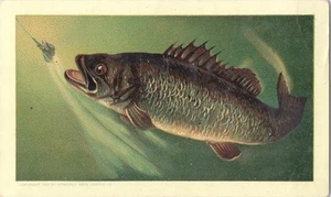 Arbuckle Bros Coffee Co New York City - Black Bass Antique Victorian Trade Card - Picture 1 of 2