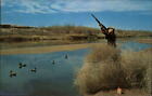 Boonville California Duck hunter shotgun autumn river unused vintage postcard
