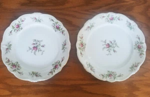 2er Set Johann Haviland Fine China 10“ Speiseteller MOOSROSE Muster - Bild 1 von 5
