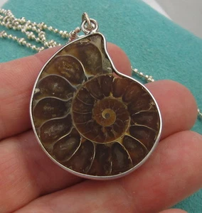 Estate Large Vintage Unusual Natural AMMONITE Fossil Sterling Silver Necklace - Picture 1 of 11