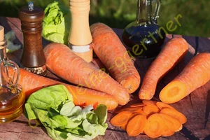 RIESEN-MÖHRE AUTUMN KING RIESIGE MÖHREN KAROTTE KAROTTEN HERBST-KÖNIG 1000 SAMEN - Bild 1 von 2