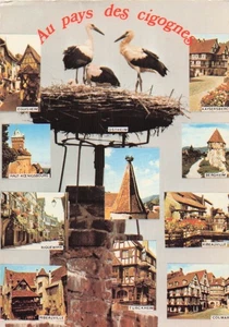 67 SELESTAT L ALSACE PITTORESQUE - Picture 1 of 2