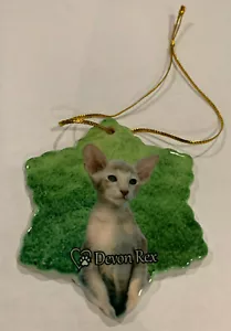 Devon Rex Katze Porzellan Weihnachtsschmuck in Sternform Neu - Bild 1 von 1