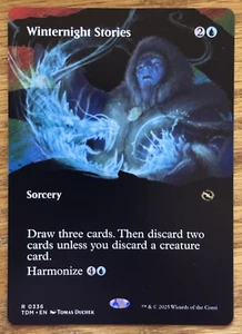 MTG Tarkir Dragonstorm, Winternight Stories - Borderless - Bild 1 von 1