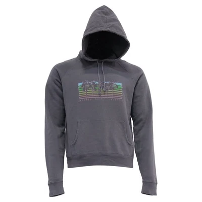 Sudadera con Capucha Saint Laurent Estampado Malibú en Algodón Hombre Gris Talla 52 Foto 1 de 4