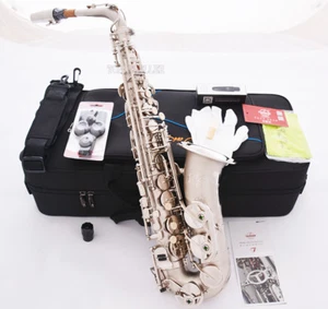 New Professional TaiShan Eb Alto Saxophone Satin nickel sax High F# With Case - Picture 1 of 6