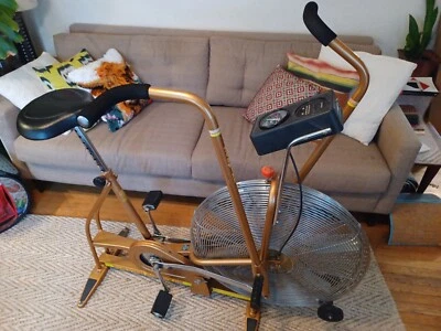 Schwinn Airdyne AD3 gold excercise bike, good condition  - Image 1 of 4