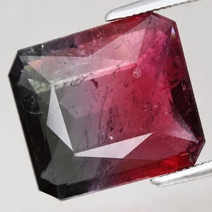 6.84ct 12.6x11.6mm Octagon Natural Unheated Bi-Color Tourmaline Mozambique, Afri - Picture 1 of 4