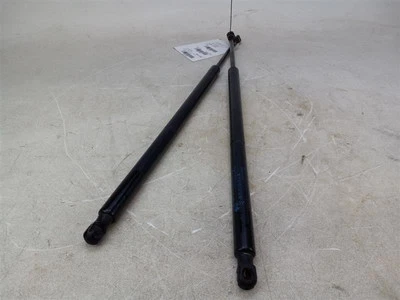 Puntales de soporte para puerta trasera Dodge Caravan 2004-2007 Foto 1 de 4