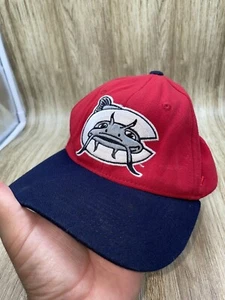 Carolina Mudcats Fitted Hat Cap Sz M/L Minor League Baseball Zephyr Preowned - Picture 1 of 9
