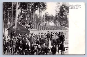 Postal K2/Rosholt Wisconsin c1910 Brook Ross campamento maderero hombres 530 - Imagen 1 de 4