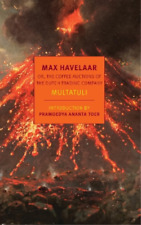 David McKay Ina Rilke Multatuli Max Havelaar (Paperback)