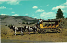 Twenty-Six Passenger Yellowstone National Park Stagecoach Near Rosevelt Lodge