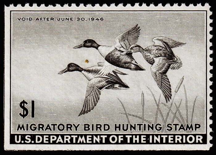 United States Hunting Permit Stamp Scott RW12 (1945) Mint NH DG F, CV $100.00 C - Image 1 of 1