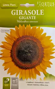GIRASOL GIGANTE en bolsa termosellada - Foto 1 di 1