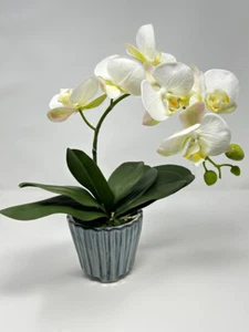 Planta flor seda orquídea 15" Lg BLANCA Phalaenopsis, maceta con patas de cerámica azul de 4" - Imagen 1 de 6