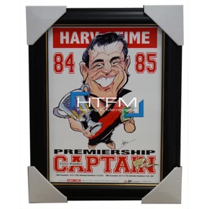 Terry Daniher Essendon 1984 85 Premiership Captain Harv Time L/e Print Framed - Bild 1 von 1