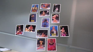 14 Vtg 1990 TitanSports Classic WWF Wrestling Wrestlemania Trading Cards LOT - Picture 1 of 5