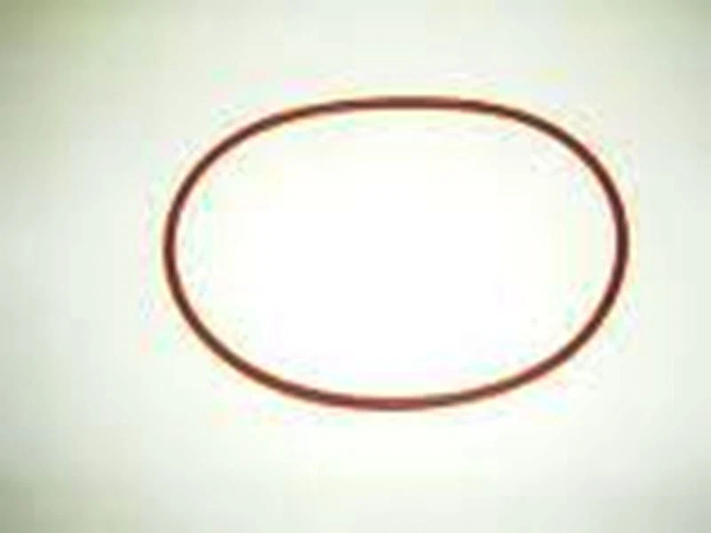 Guarnizione Caldaia Vaporella Prof 1100 1300 3100 505 525 Easy Polti Originale - Immagine 1 di 1