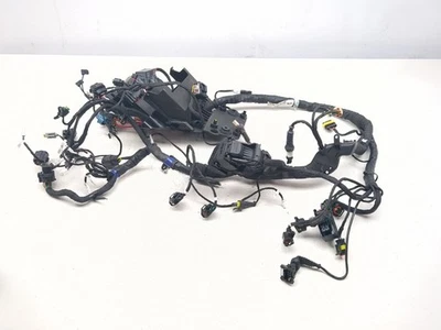 Arnés de cableado principal telar 21-24 Ducati Monster 937 Plus Foto 1 de 4