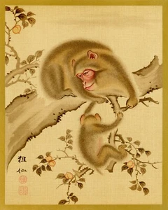 12176.Decor Poster.Room wall art.Home interior design.Japanese monkeys - Picture 1 of 1